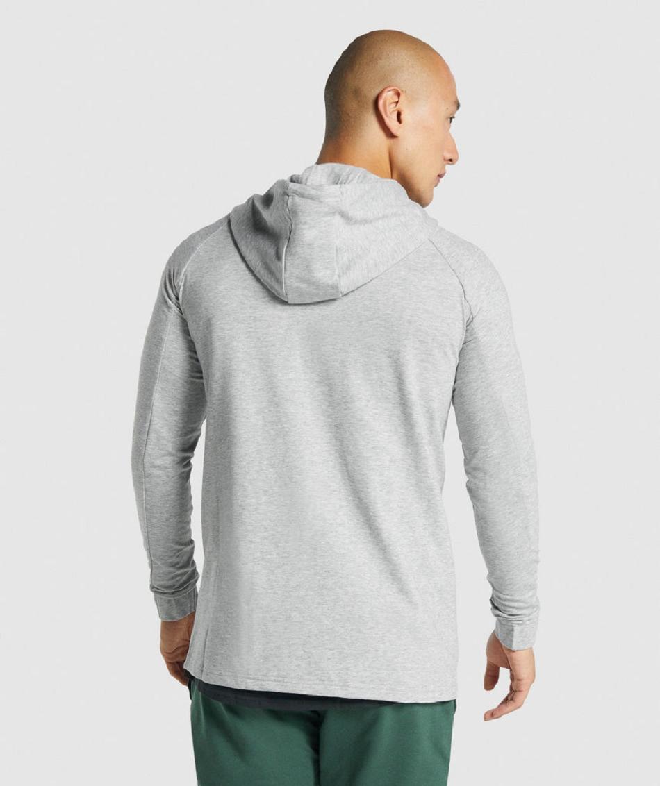 Gymshark Critical 2.0 Zip Up Muške Majica S Kapuljačom Svijetlo Sive | HR 2694AHK